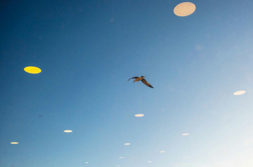 Photographer Serkan Tekin Captures Incredible Coincidences Of Everyday Life On The Streets