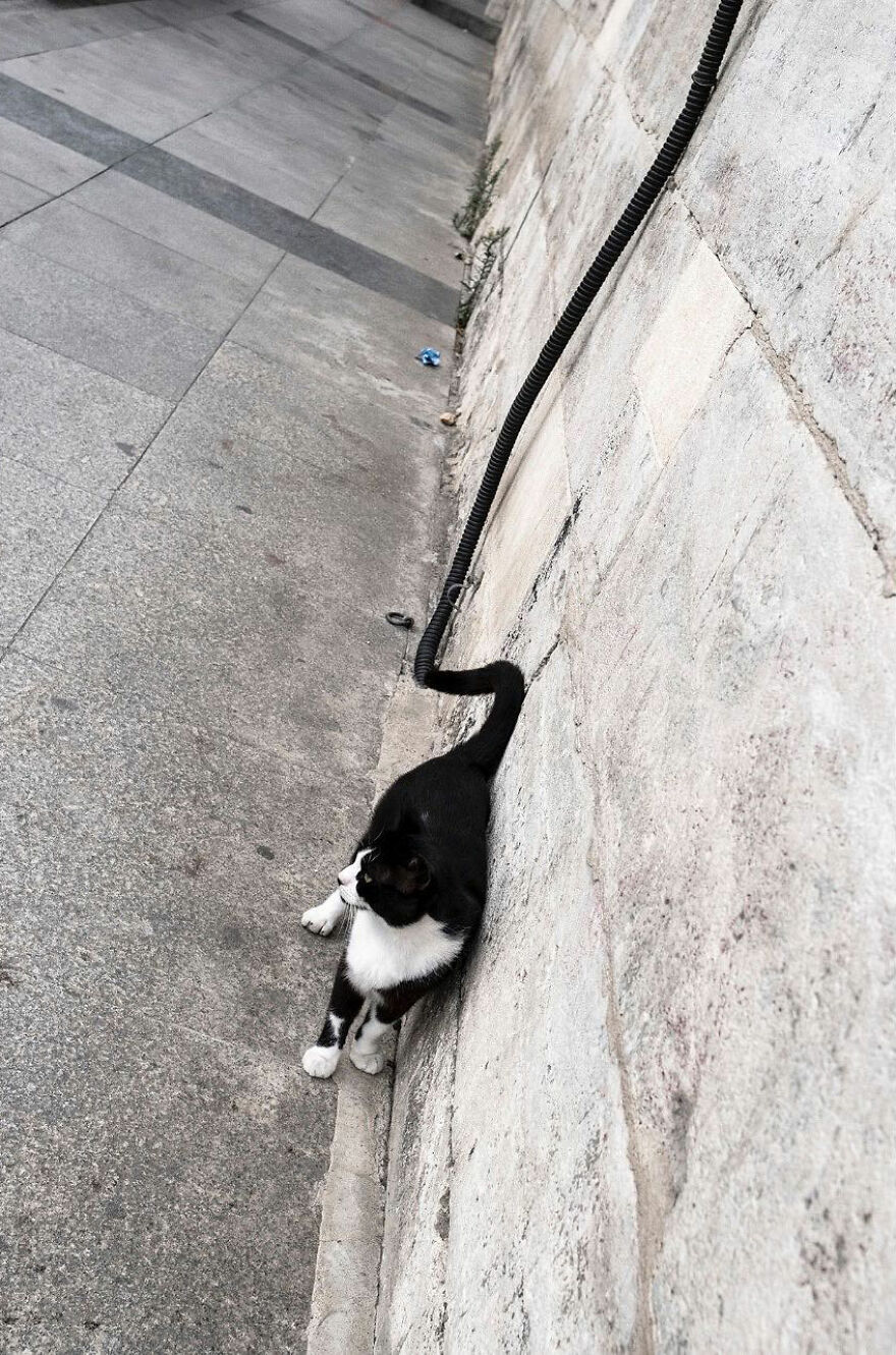 Photographer Serkan Tekin Captures Incredible Coincidences Of Everyday Life On The Streets