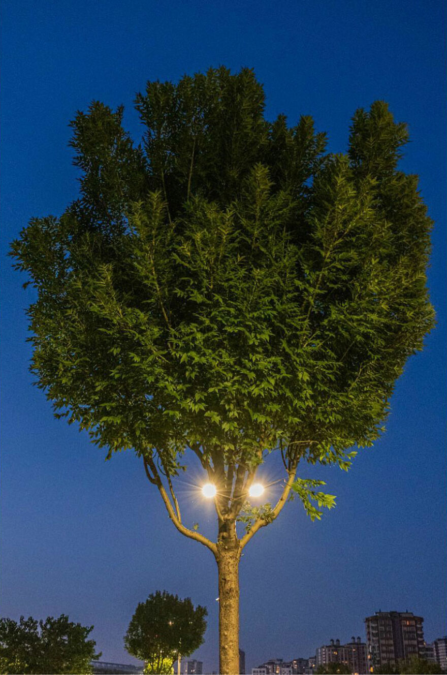 Photographer Serkan Tekin Captures Incredible Coincidences Of Everyday Life On The Streets