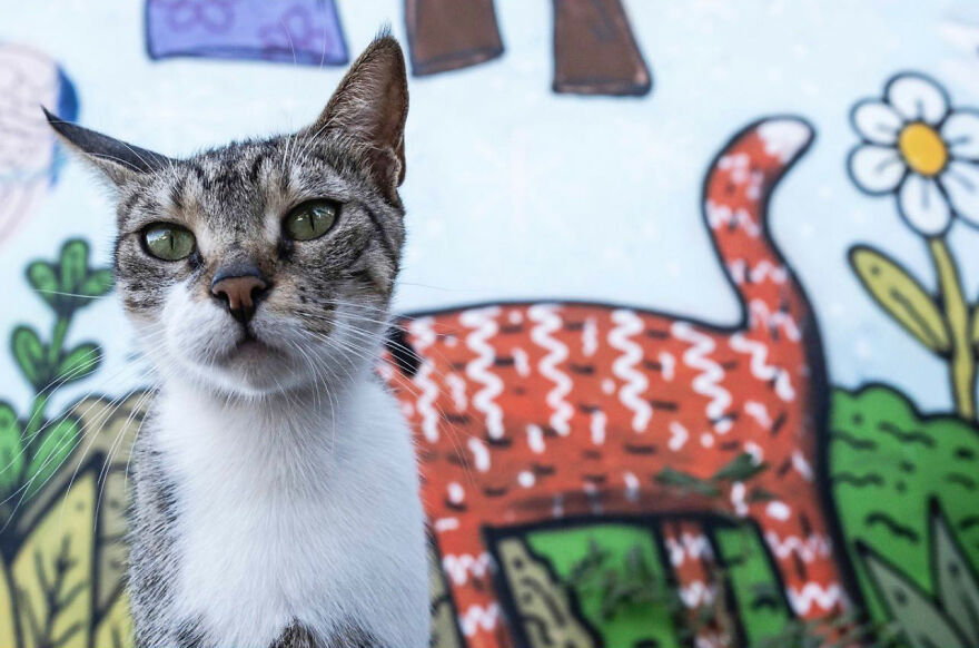 Photographer Serkan Tekin Captures Incredible Coincidences Of Everyday Life On The Streets