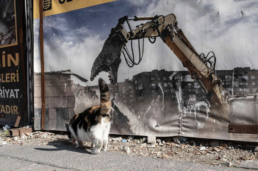 Photographer Serkan Tekin Captures Incredible Coincidences Of Everyday Life On The Streets