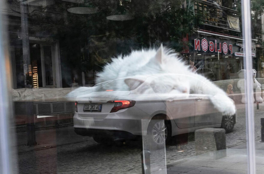 Photographer Serkan Tekin Captures Incredible Coincidences Of Everyday Life On The Streets