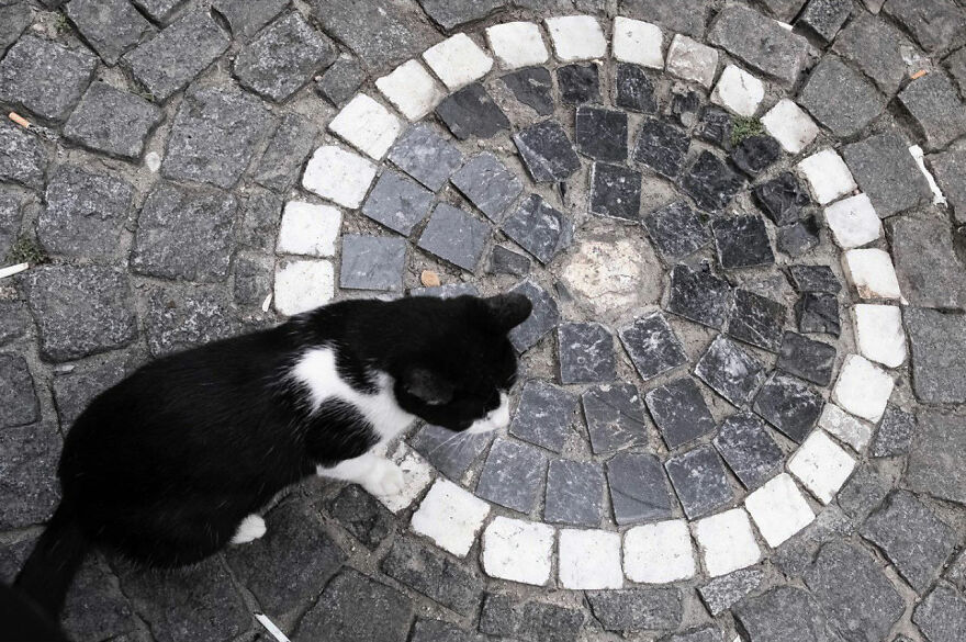 Photographer Serkan Tekin Captures Incredible Coincidences Of Everyday Life On The Streets