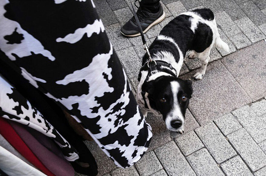 Photographer Serkan Tekin Captures Incredible Coincidences Of Everyday Life On The Streets