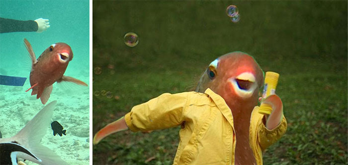 This Fish From R/Fish