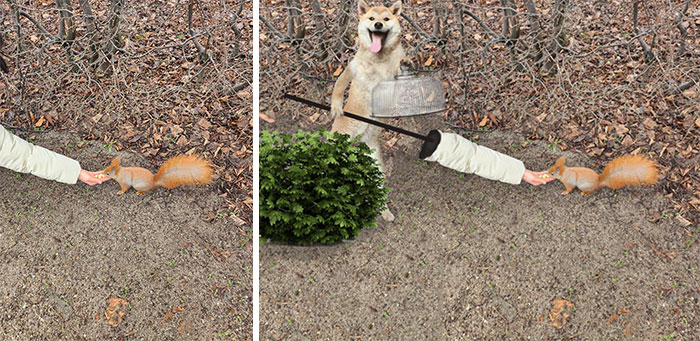 Squirrel Eating Nuts From Hand
