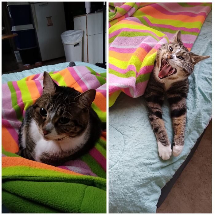 This Is Star She Hates Having Her Picture Taken