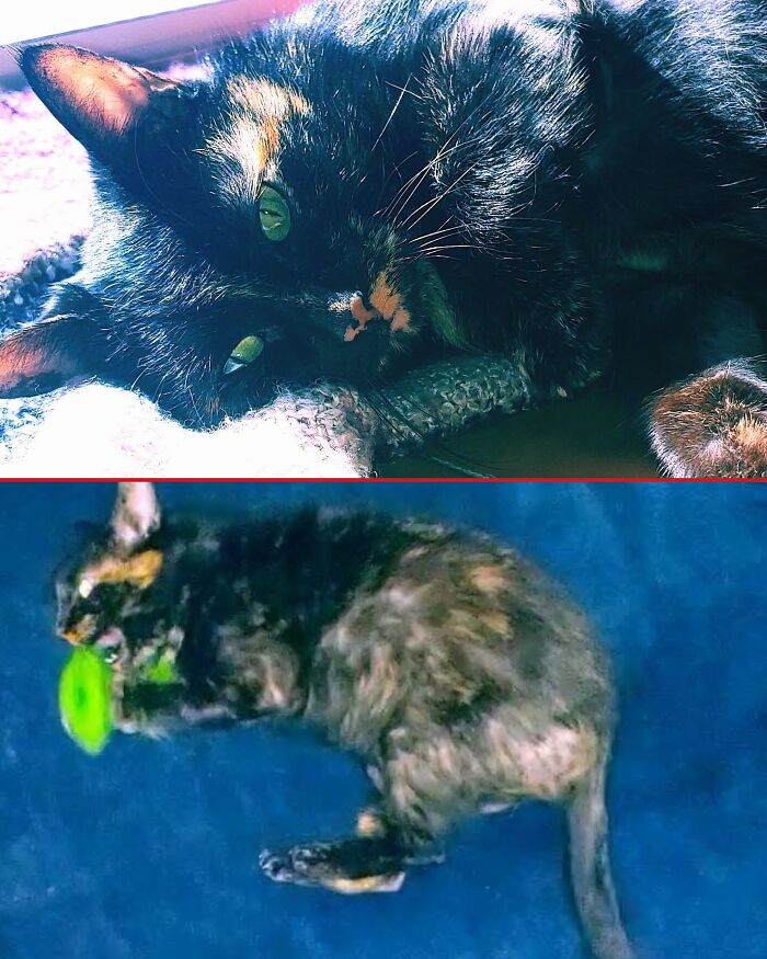 Aw, My Cinder. So Sweet, So Evil!