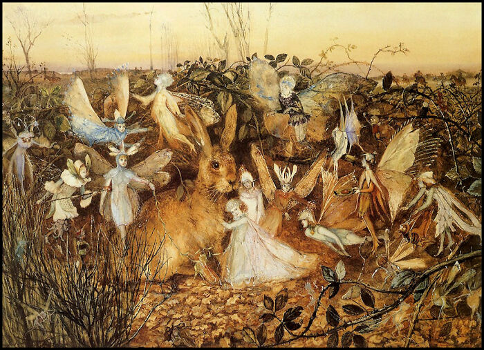 Rabbit Among The Fairies