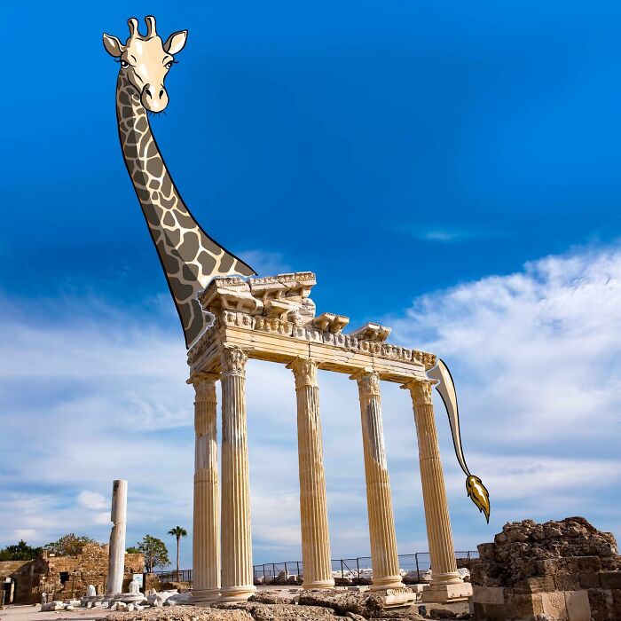 Illustration On A Photo By Robin Yala