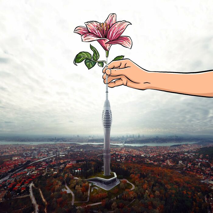 Illustration On A Photo By Robin Yala