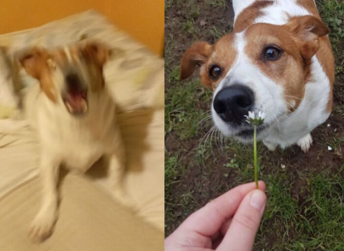 This Is Foxy.. Good Grief