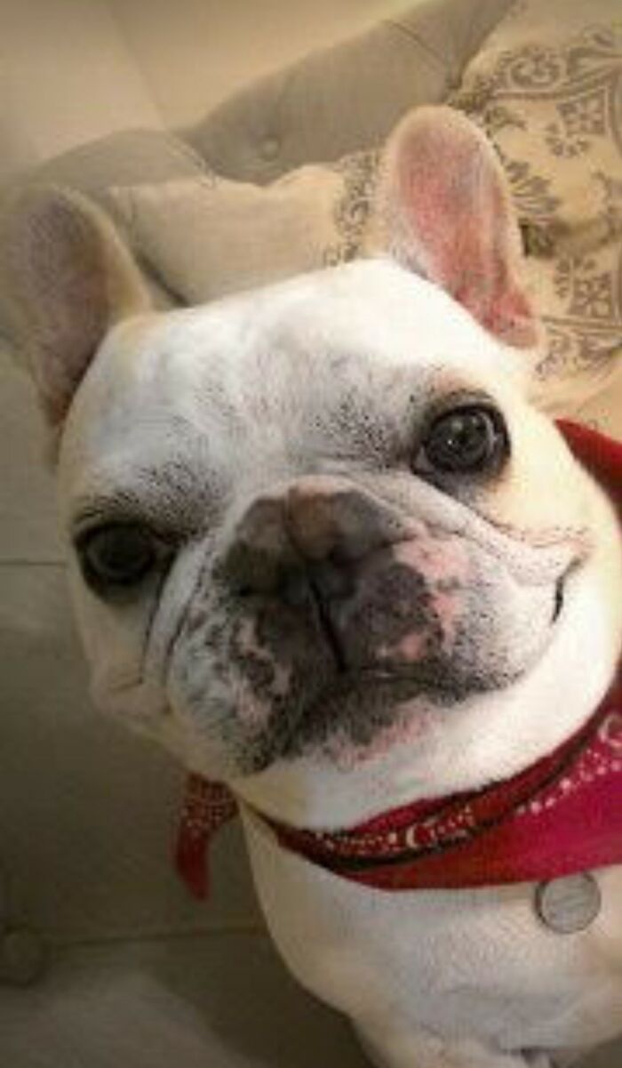 Did Someone Say Happy Hour?? 🍷🍷