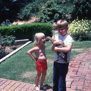 heatheratwood_1 avatar