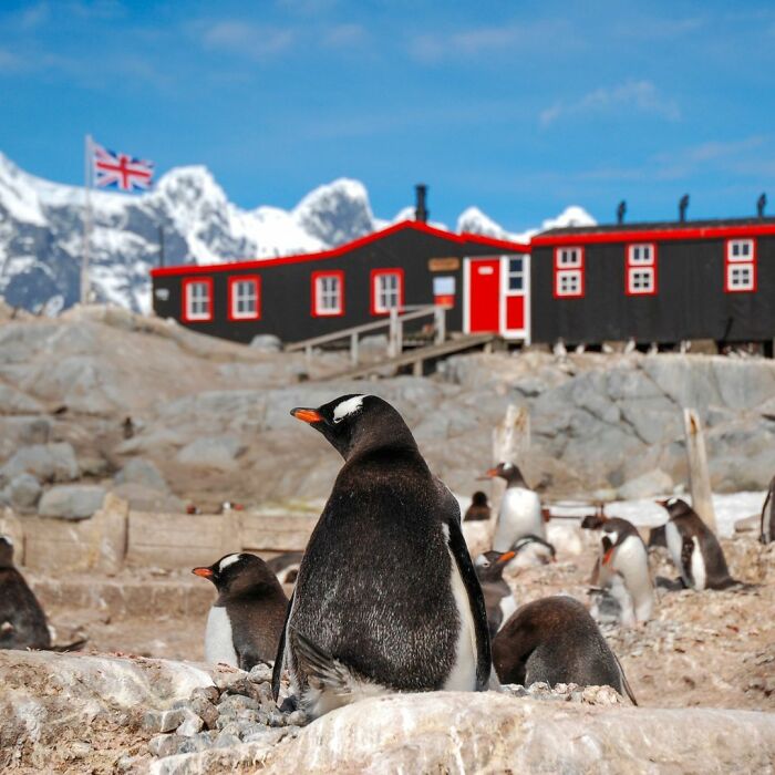 &ldquo;It&rsquo;s Life-changing&rdquo;: World&rsquo;s Most Remote Post Office Is Hiring 4 Postmasters