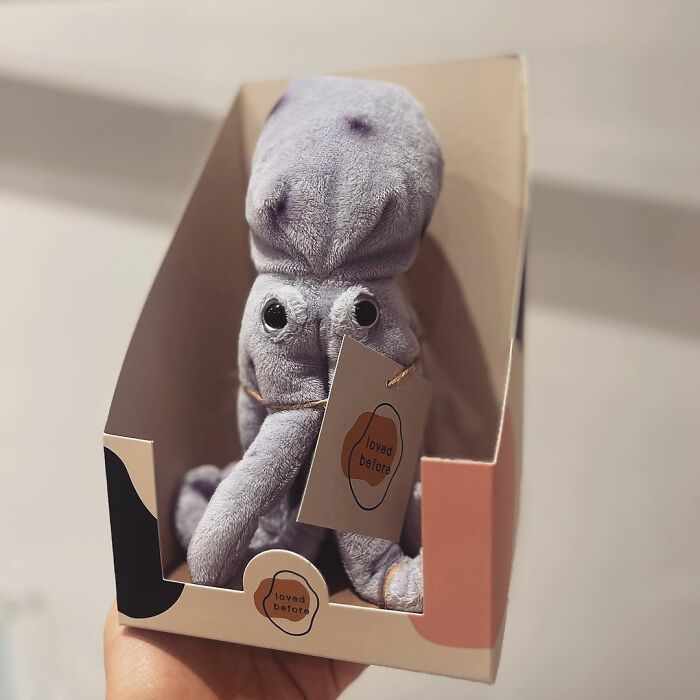 &ldquo;Loved Before&rdquo; Company Gives Old Soft Toys A Second Chance