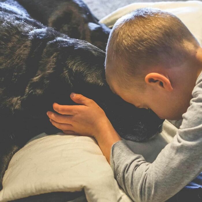 12 Y.O.&rsquo;s Mission Is To Find Homes For Shelter Dogs And He Has Already Succeeded 4,900 Times