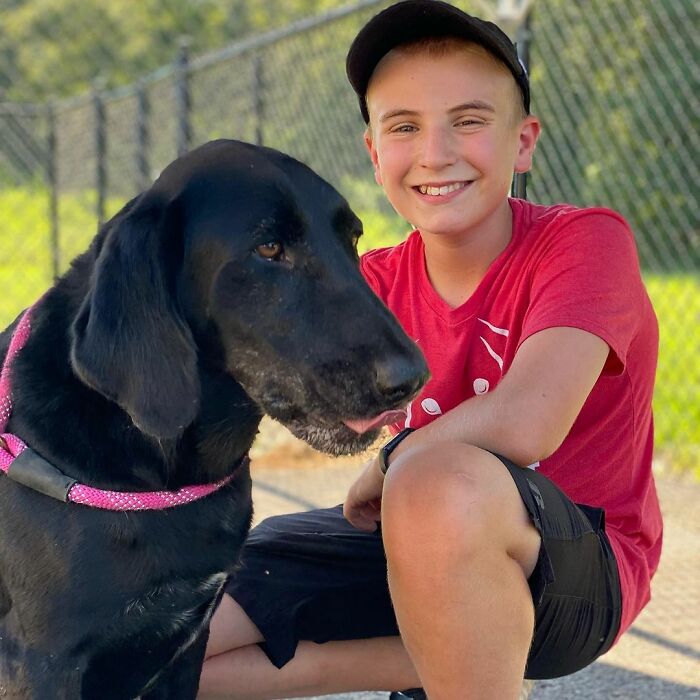 12 Y.O.&rsquo;s Mission Is To Find Homes For Shelter Dogs And He Has Already Succeeded 4,900 Times