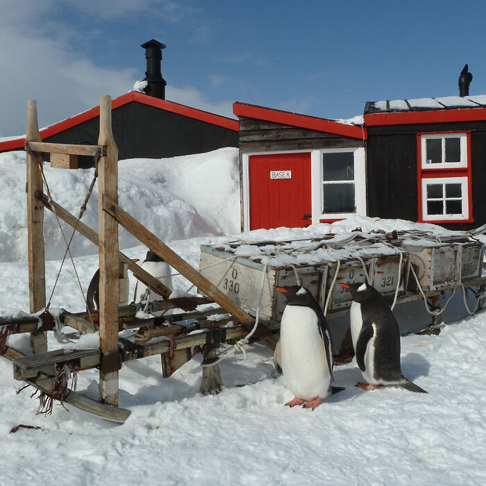 &ldquo;It&rsquo;s Life-changing&rdquo;: World&rsquo;s Most Remote Post Office Is Hiring 4 Postmasters