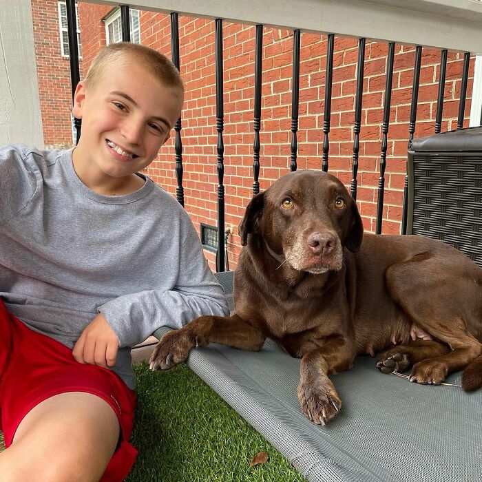 12 Y.O.&rsquo;s Mission Is To Find Homes For Shelter Dogs And He Has Already Succeeded 4,900 Times