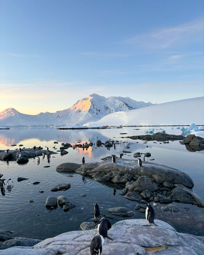 &ldquo;It&rsquo;s Life-changing&rdquo;: World&rsquo;s Most Remote Post Office Is Hiring 4 Postmasters