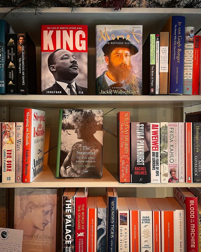 Bookstore Was Making $12 Before Owner Asked The Internet For Help, Was Revived For A New Life