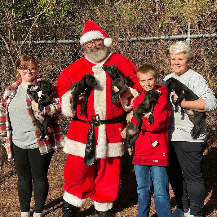 12 Y.O.&rsquo;s Mission Is To Find Homes For Shelter Dogs And He Has Already Succeeded 4,900 Times