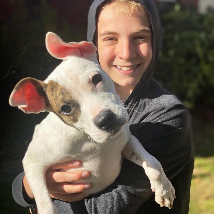 12 Y.O.&rsquo;s Mission Is To Find Homes For Shelter Dogs And He Has Already Succeeded 4,900 Times