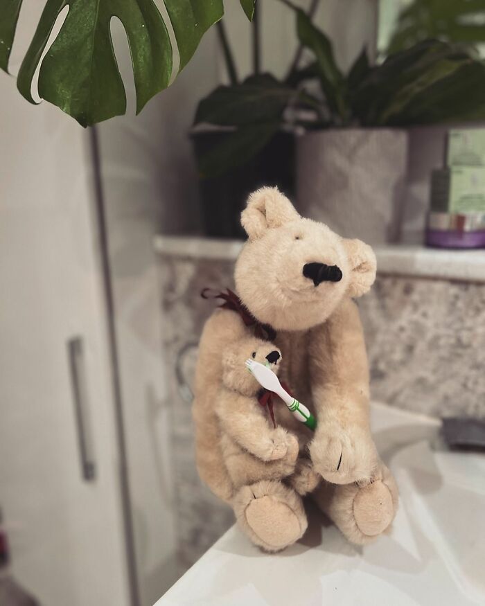 &ldquo;Loved Before&rdquo; Company Gives Old Soft Toys A Second Chance