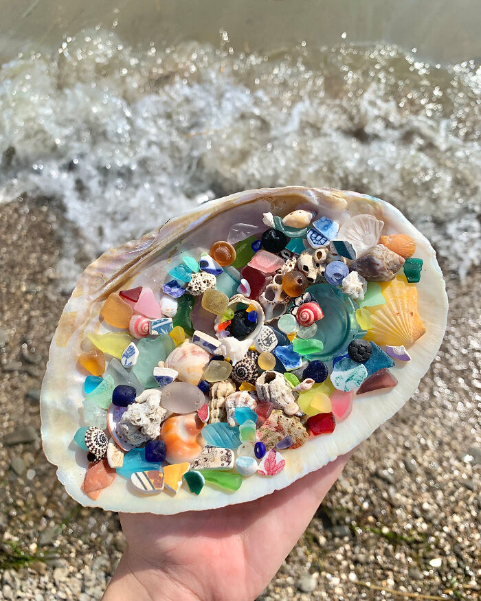 Tiny Beach Finds