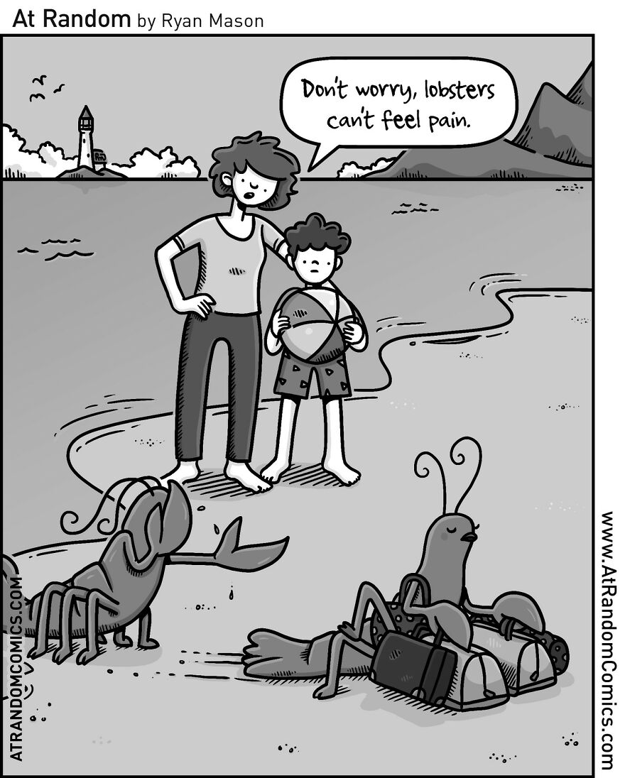 The Funniest Single-Panel Comics By Ryan Mason (New Pics)