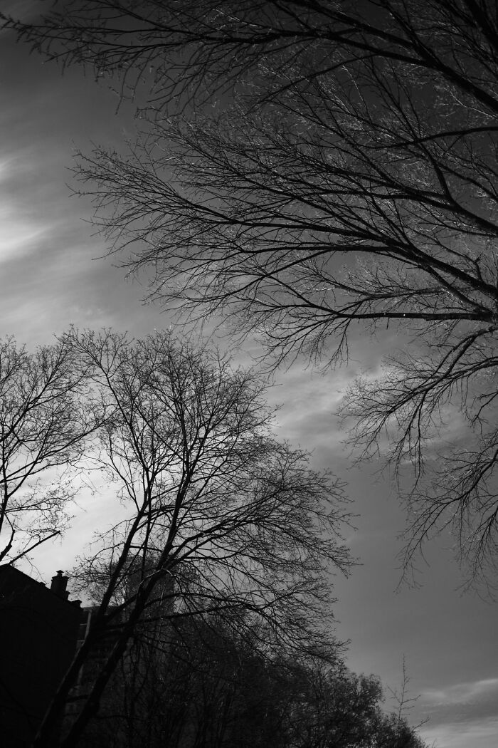 The Intersection Of Photography And Mindfulness (16 Pics)