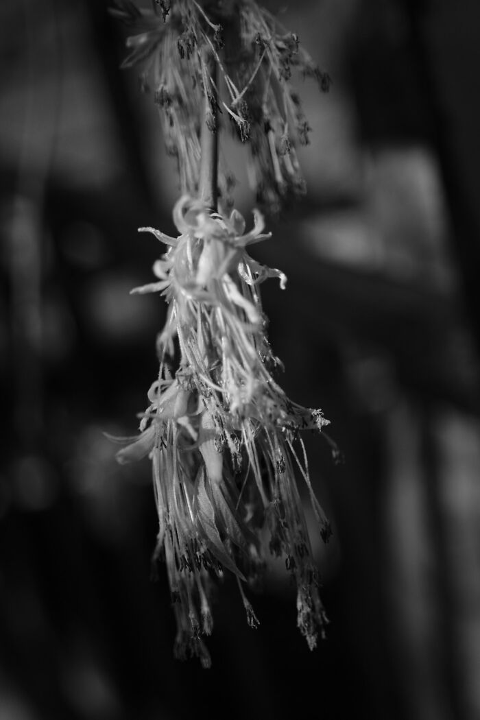 The Intersection Of Photography And Mindfulness (16 Pics)