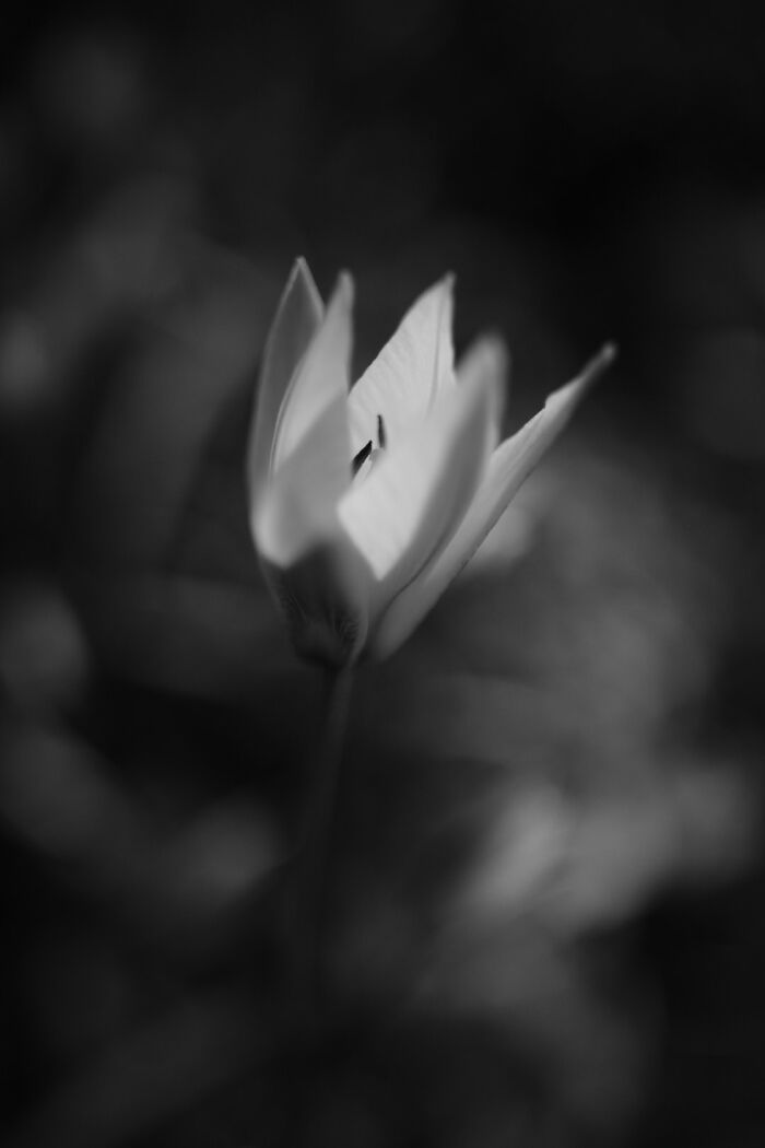 The Intersection Of Photography And Mindfulness (16 Pics)