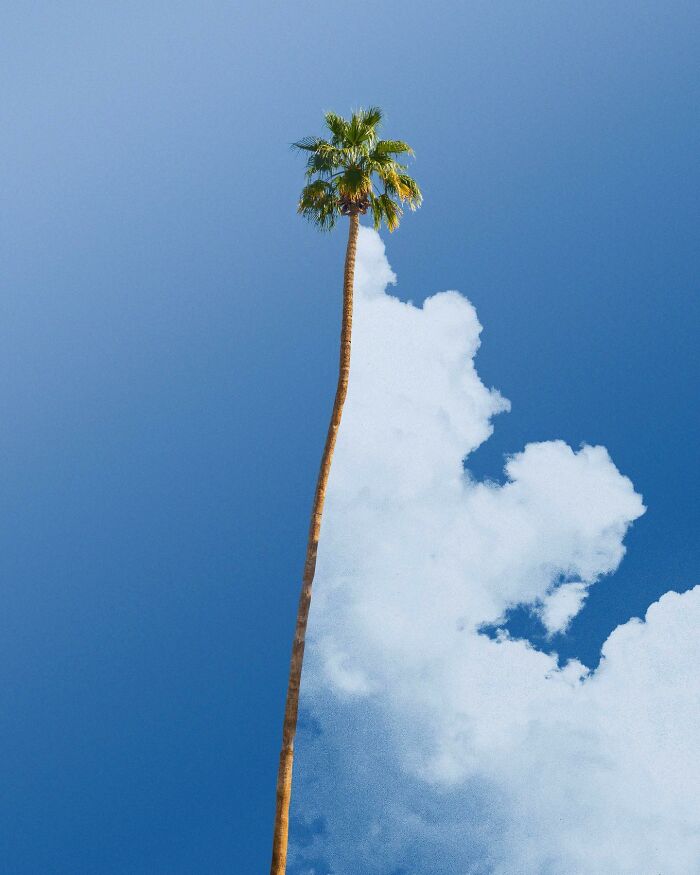 The Surreal Art Of Tom Fabia