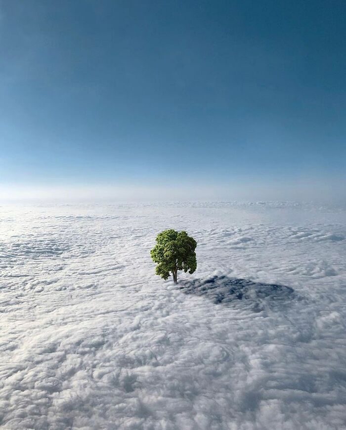 The Surreal Art Of Tom Fabia