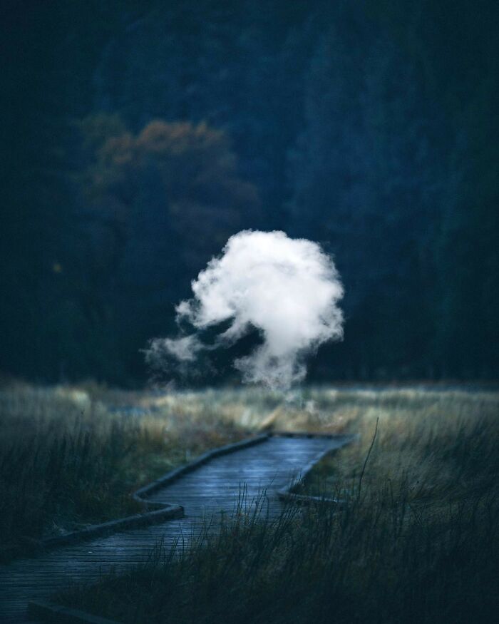 The Surreal Art Of Tom Fabia