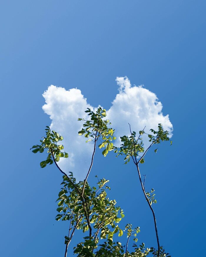 The Surreal Art Of Tom Fabia