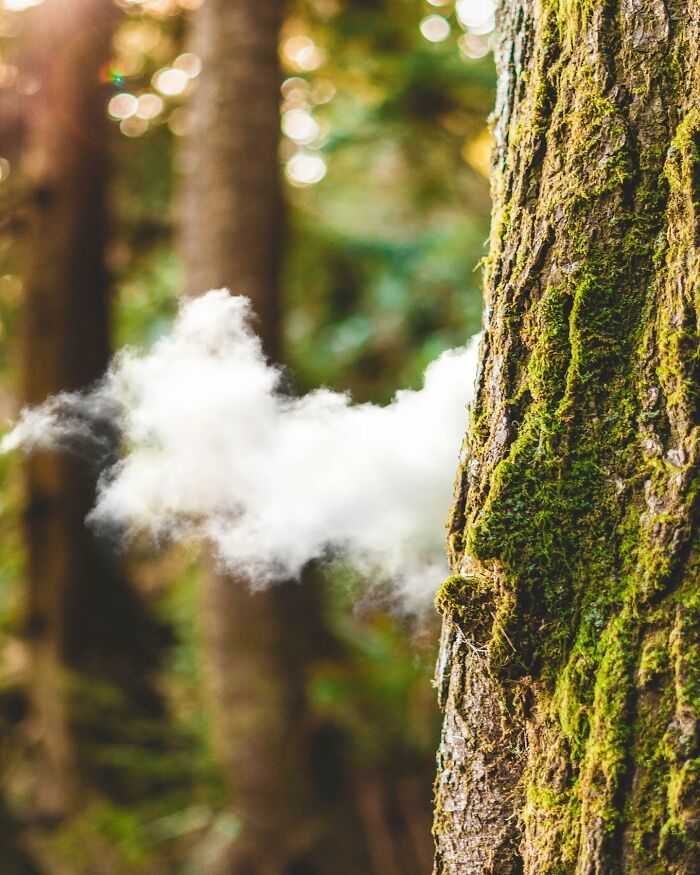 The Surreal Art Of Tom Fabia