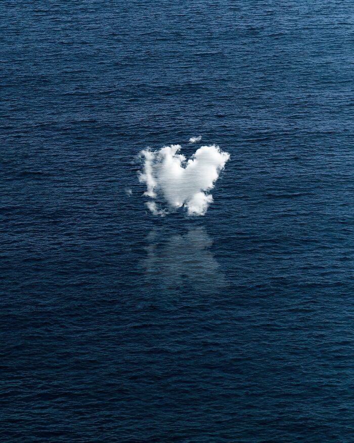 The Surreal Art Of Tom Fabia