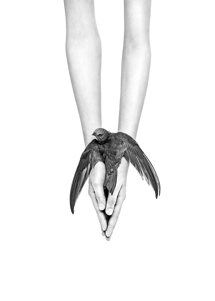 2nd Place In The Fine Art Category: "Peace" By Małgorzata Fober, Poland