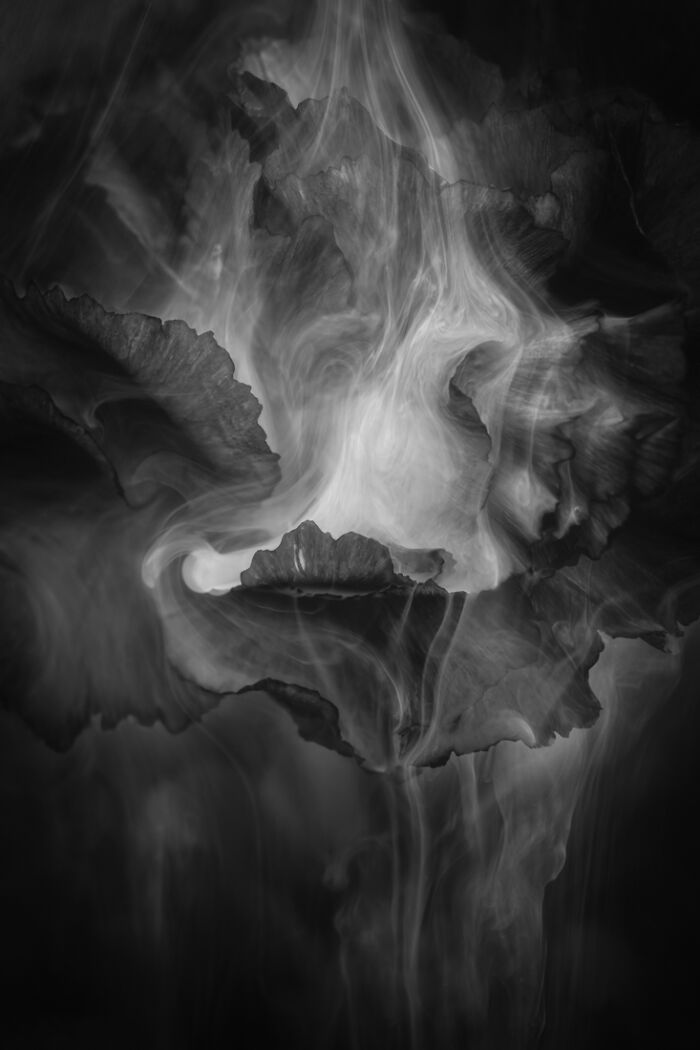 2nd Place In The Abstract Category: "White Lava" By Hilda Champion, United States