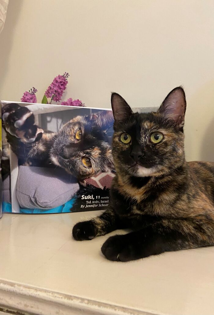 Tortoiseshell cat posing beside its winning photo featured in a worldwide cat photobook competition.