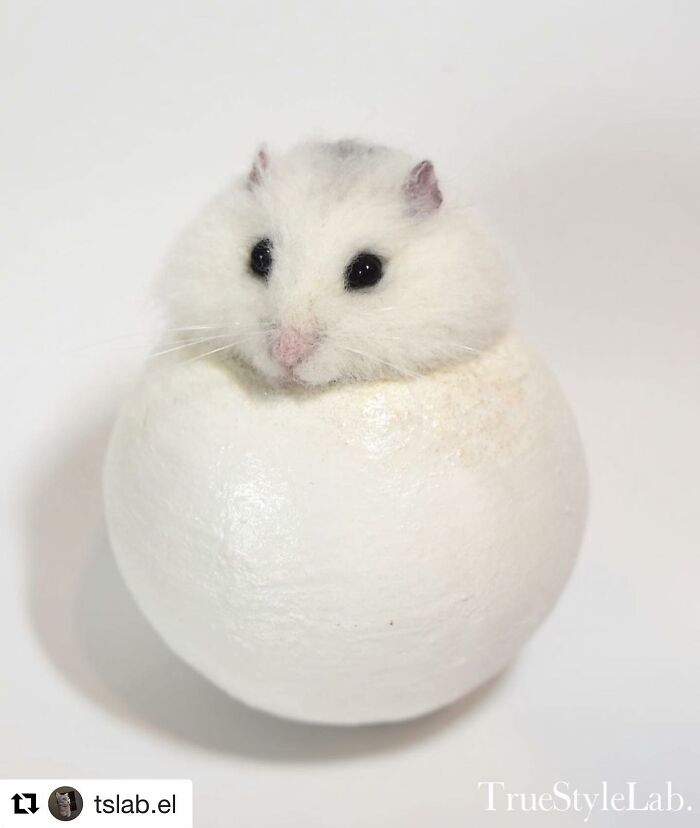 These Animals Are Taking The Internet By Storm, But They're Entirely Handmade From Wool Felt