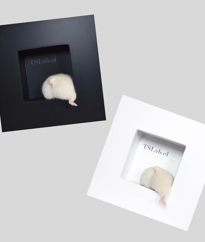 These Animals Are Taking The Internet By Storm, But They're Entirely Handmade From Wool Felt