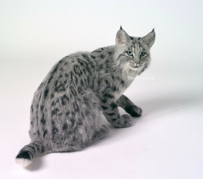 These Animals Are Taking The Internet By Storm, But They're Entirely Handmade From Wool Felt