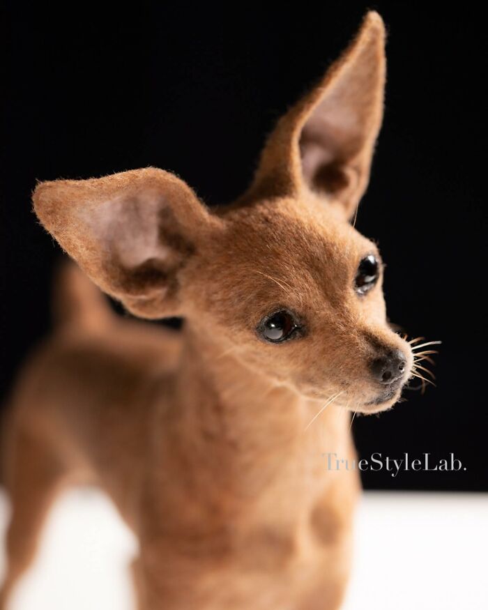 These Animals Are Taking The Internet By Storm, But They're Entirely Handmade From Wool Felt