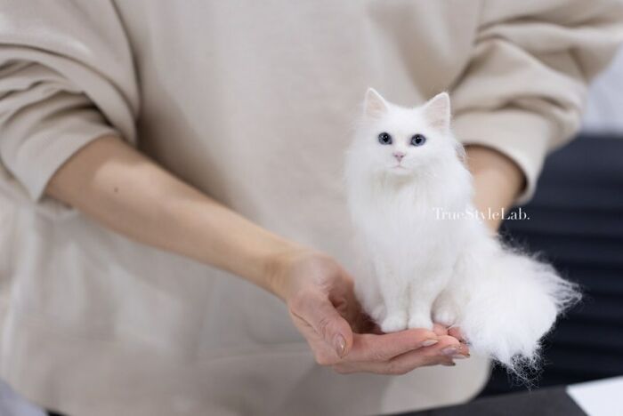 These Animals Are Taking The Internet By Storm, But They're Entirely Handmade From Wool Felt