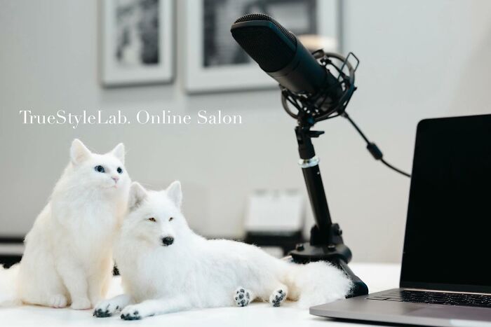 These Animals Are Taking The Internet By Storm, But They're Entirely Handmade From Wool Felt