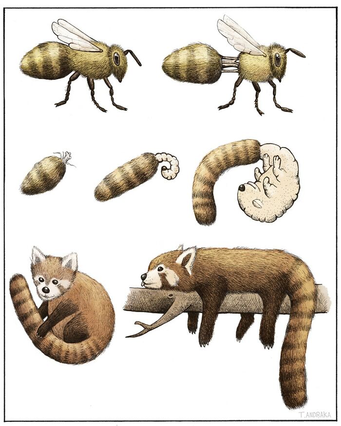 These Surreal Illustrations By Tim Andraka Will Blow Your Mind